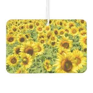 Sunflower car fresher air freshener