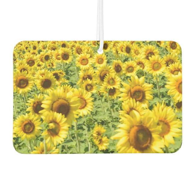 Sunflower car fresher air freshener (Front)