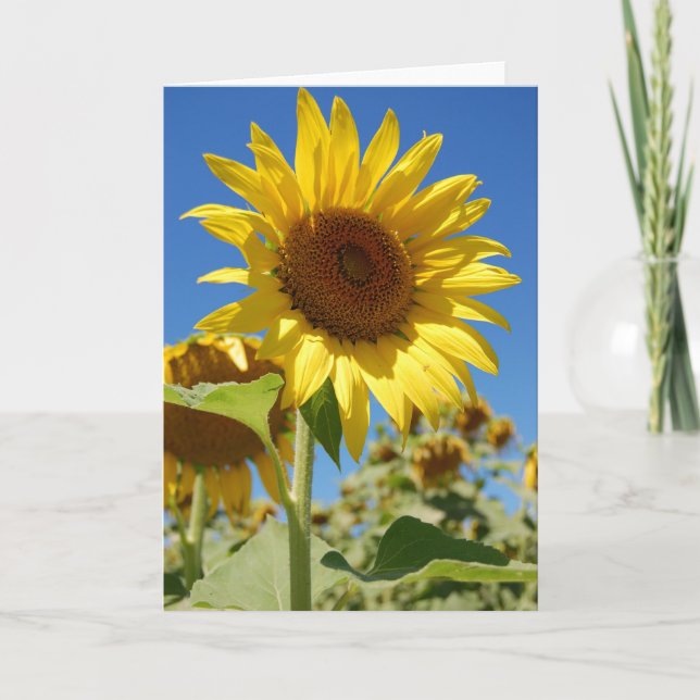 Sunflower Card (Front)