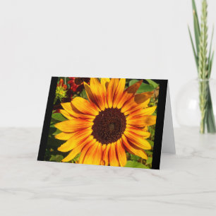 Sunflower Card