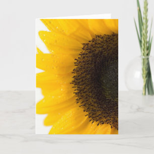 sunflower card