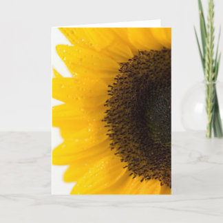 sunflower card