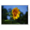 Sunflower Card