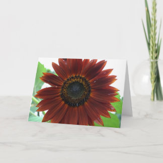 Sunflower Card