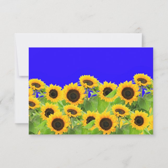 Sunflower Card Ukraine Flag Colours (Front)