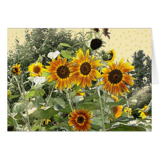 Sunflower Cards