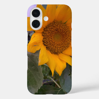 Sunflower case