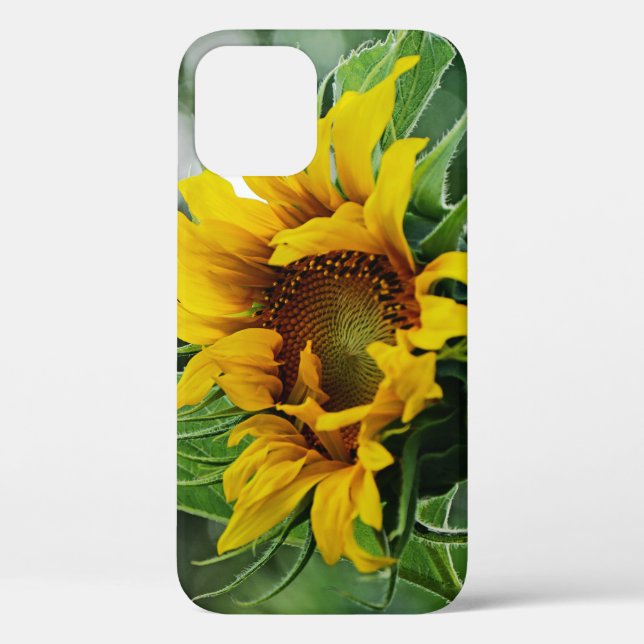 Sunflower Case-Mate iPhone Case (Back)