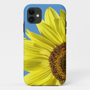Sunflower Cell Phone Cases Blue Sky covers