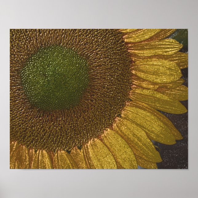 Sunflower Centre Coloured Pencil Art Poster (Front)