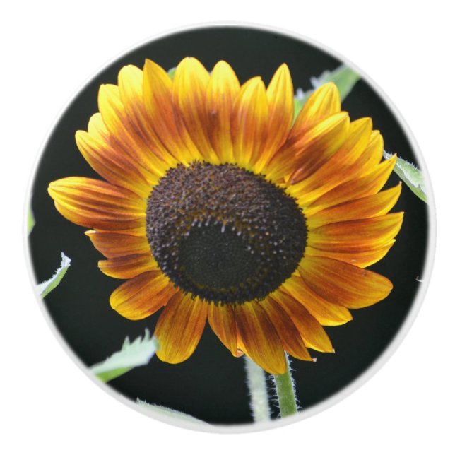 Sunflower Ceramic Knob (Front)