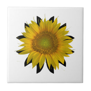 Sunflower Ceramic Tile