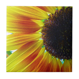 Sunflower Ceramic Tile
