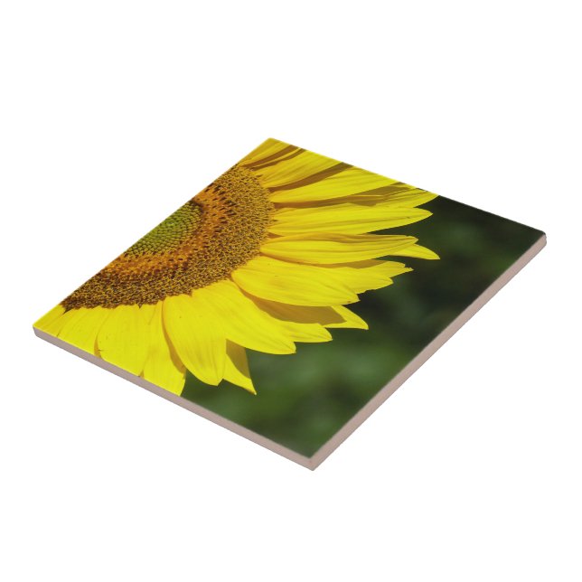 Sunflower Ceramic Tile (Side)