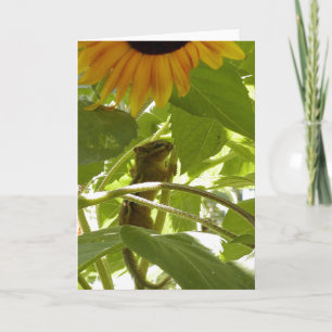 Sunflower & Chipmunk Card