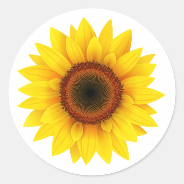 Sunflower Classic Round Sticker (Front)
