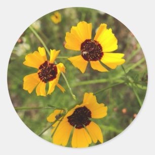 Sunflower Classic Round Sticker
