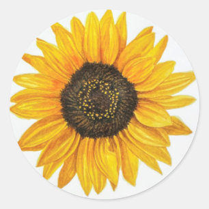 sunflower  classic round sticker