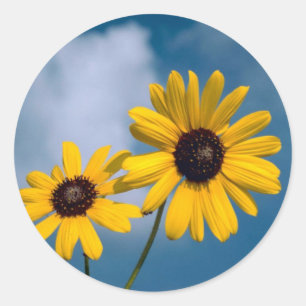 Sunflower Classic Round Sticker