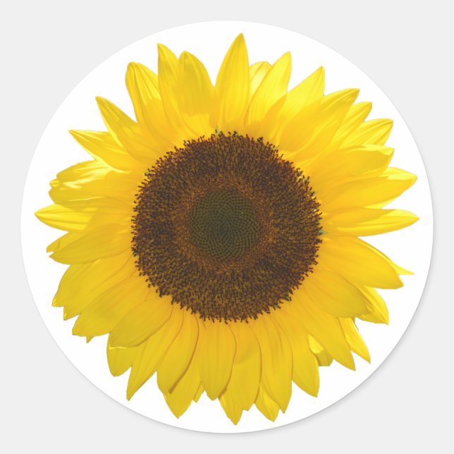 Sunflower Classic Round Sticker (Front)