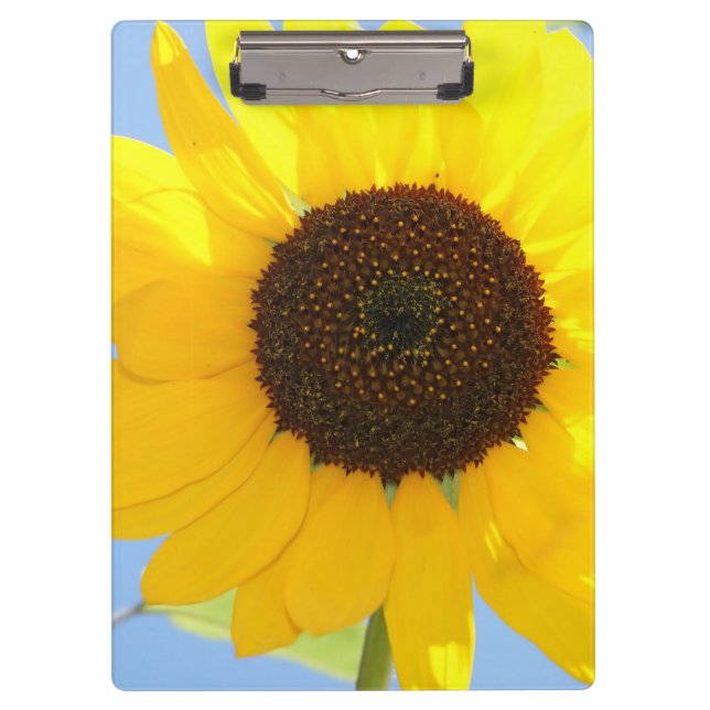 Sunflower Clipboard (Front)