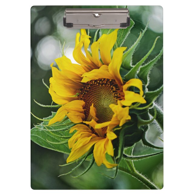Sunflower Clipboard (Front)