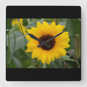Sunflower Clock