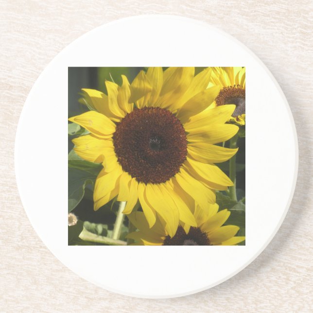 Sunflower Coaster (Front)