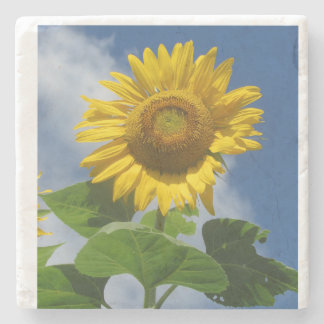 Sunflower coaster