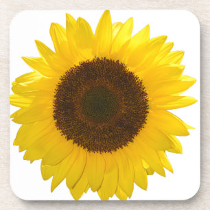 Sunflower Coaster