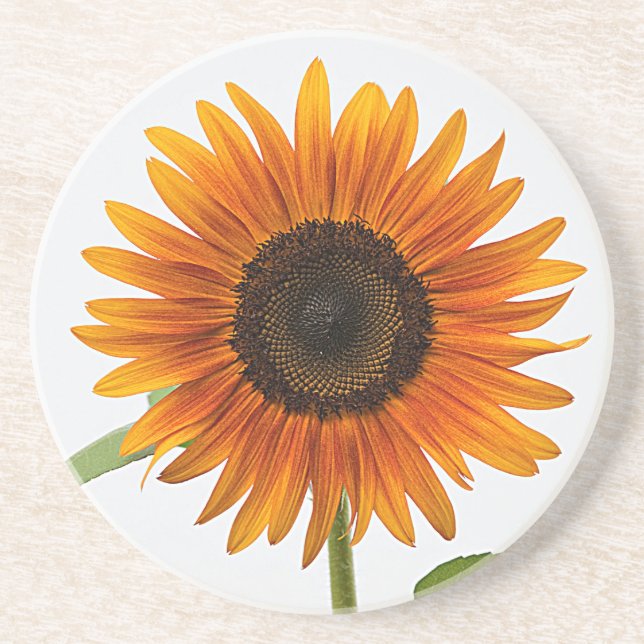 Sunflower Coaster (Front)
