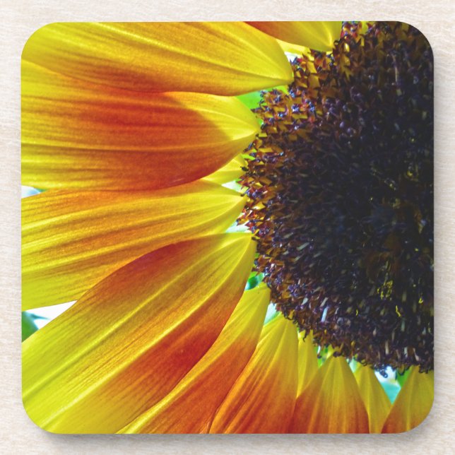 Sunflower Coaster (Front)