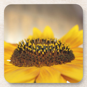 Sunflower Coaster