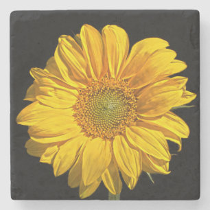 Sunflower coastercn stone coaster