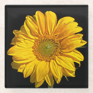 Sunflower coastercna glass coaster