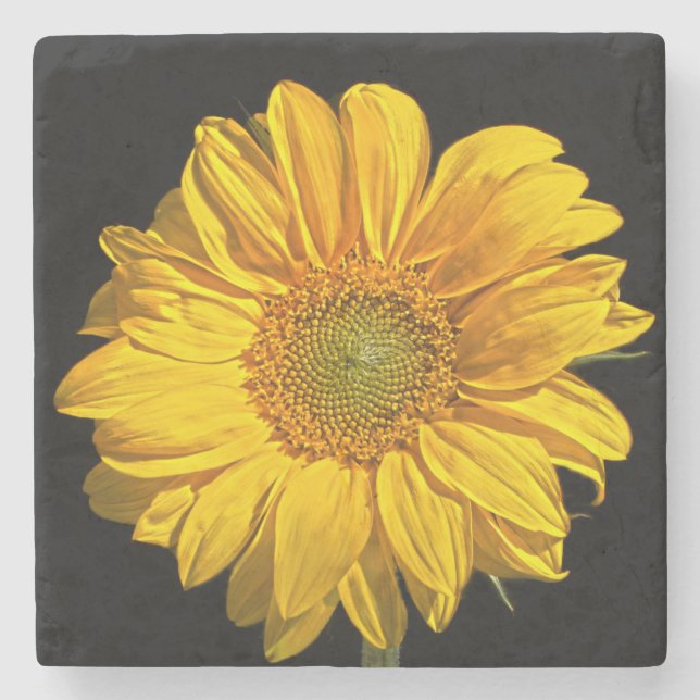 Sunflower coastercnm stone coaster (Front)