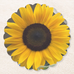 Sunflower coasters