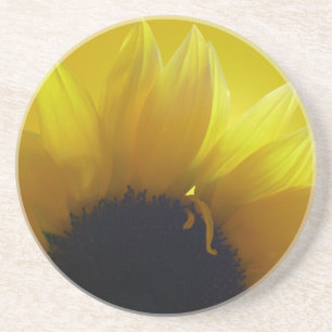 Sunflower Coasters Cheerful Yellow Flower Gifts