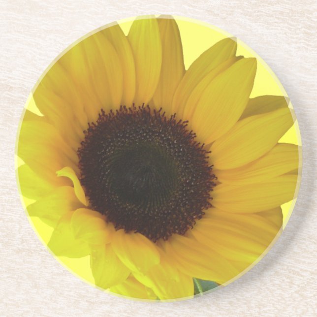 Sunflower Coasters Cheerful Yellow Flower Gifts (Front)