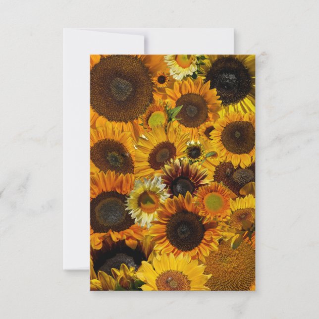 Sunflower Collage  Card (Front)