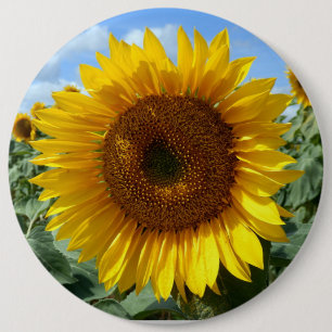 Sunflower Colossal Round Badge