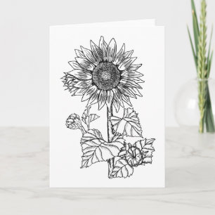 Sunflower Colour It Yourself Blank Greeting Card