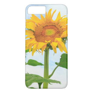 Sunflower, community garden, Moses Lake, WA, USA iPhone 8 Plus/7 Plus Case