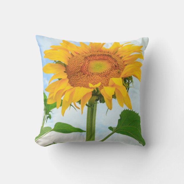 Sunflower, community garden, Moses Lake, WA, USA Cushion (Front)