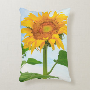 Sunflower, community garden, Moses Lake, WA, USA Decorative Cushion