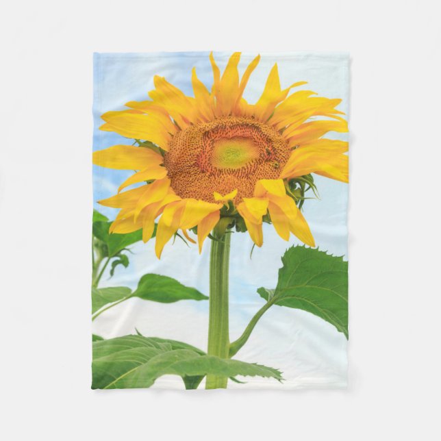Sunflower, community garden, Moses Lake, WA, USA Fleece Blanket (Front)