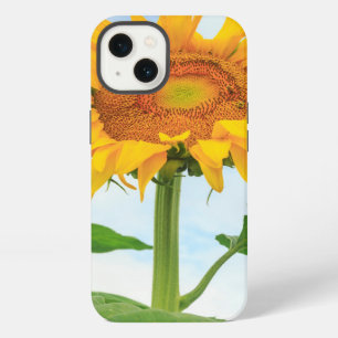 Sunflower, community garden, Moses Lake, WA, USA iPhone Case