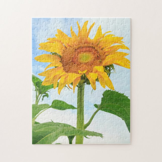 Sunflower, community garden, Moses Lake, WA, USA Jigsaw Puzzle (Vertical)