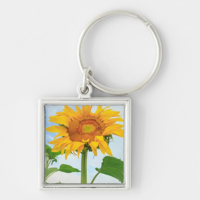 Sunflower, community garden, Moses Lake, WA, USA Key Ring (Front)