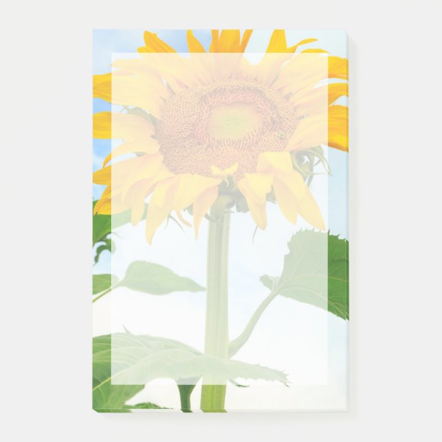 Sunflower, community garden, Moses Lake, WA, USA Post-it Notes (Front)